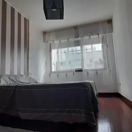 Flat Apartment